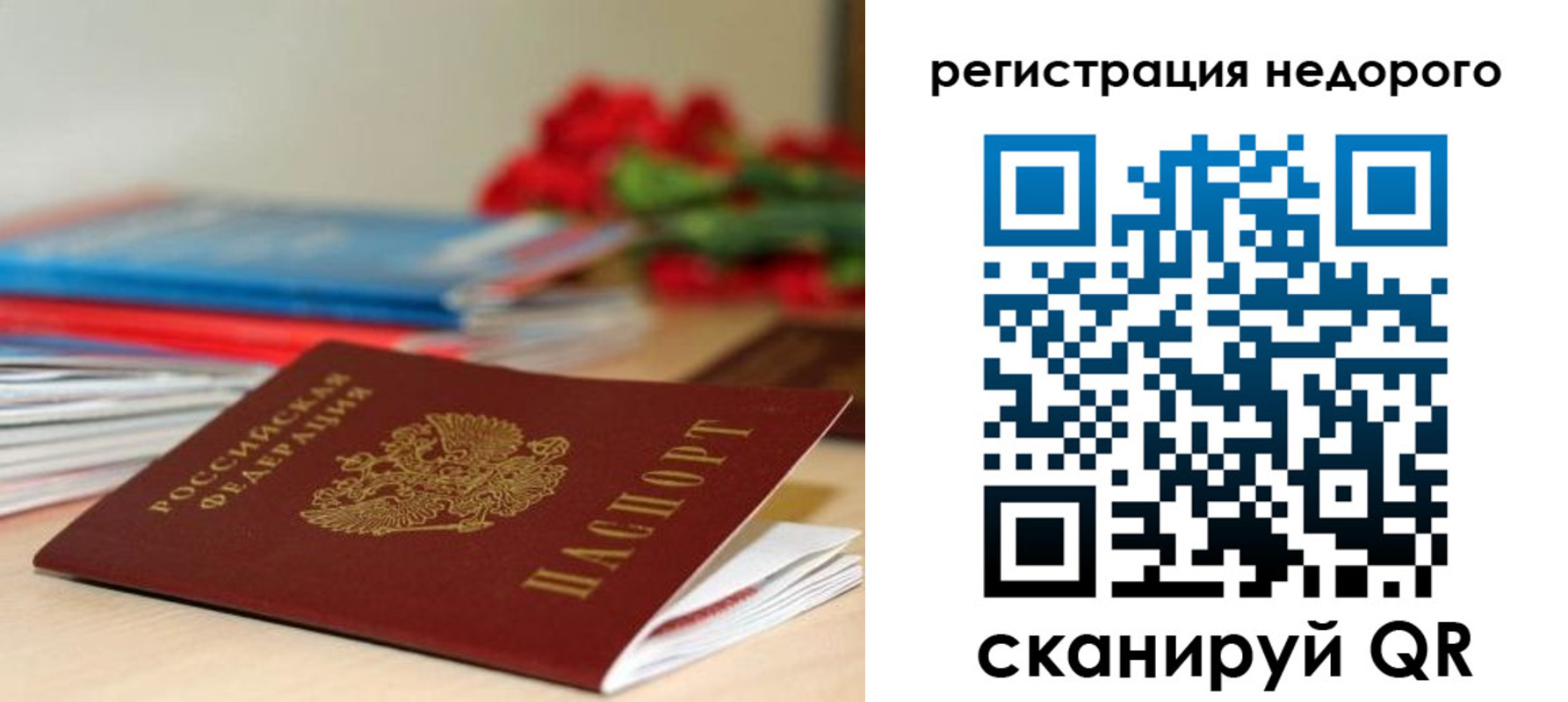 временная регистрация гарантия в Елизово